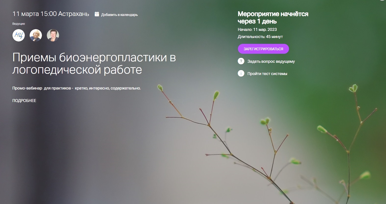 Промо-вебинар: Приемы биоэнергопластики в логопедической работе